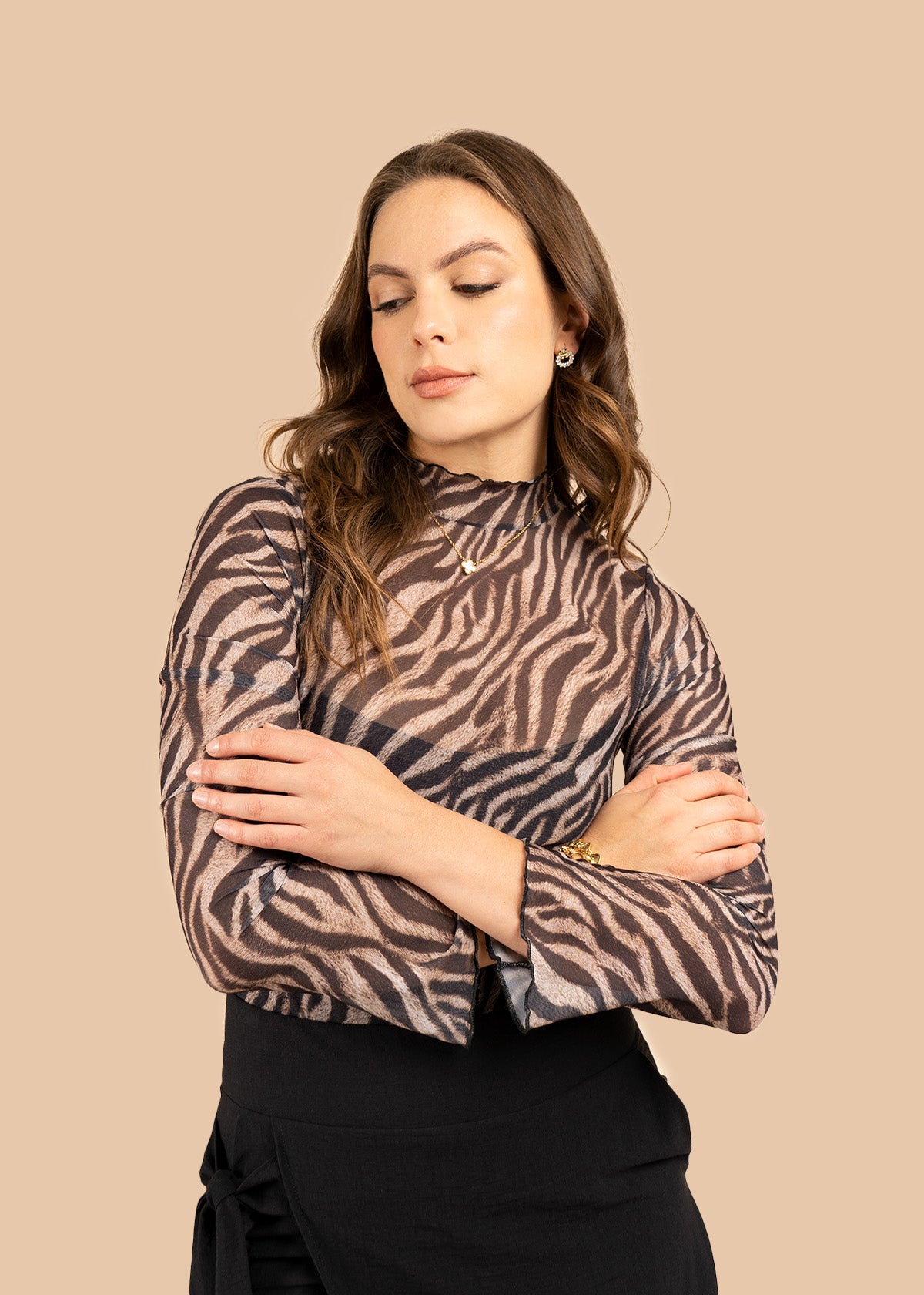 Body color negro con semitransparencia 106380