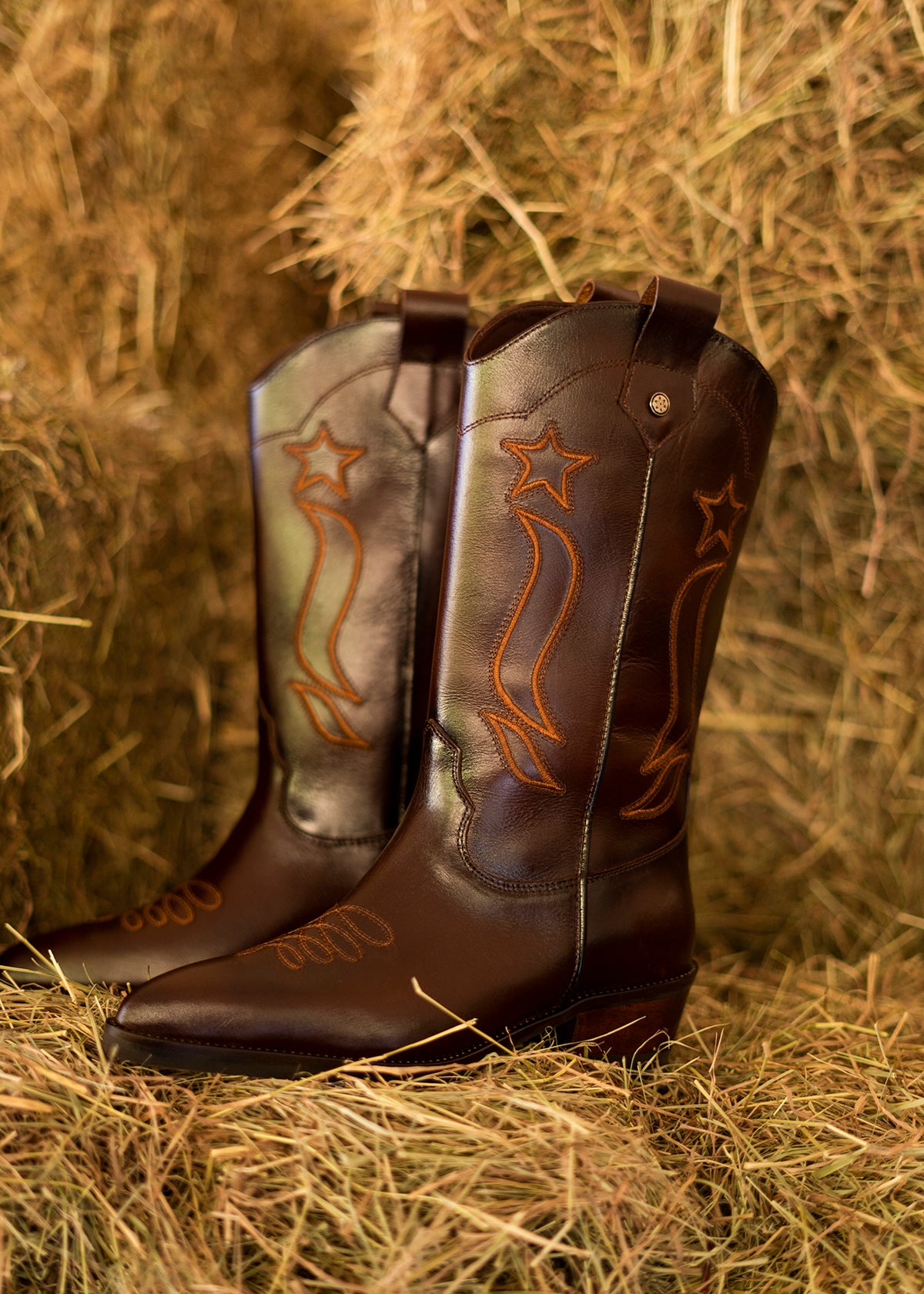 Bota texana en cuero color café con bordado de estrellas y líneas curvas 105950